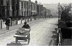 Alma-Terrace-Silverhill.-1906.